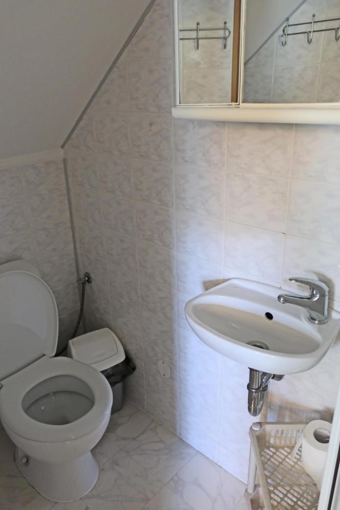 Buseranda - Depandance Hotelu U Zeleneho Stromu Decin Buitenkant foto
