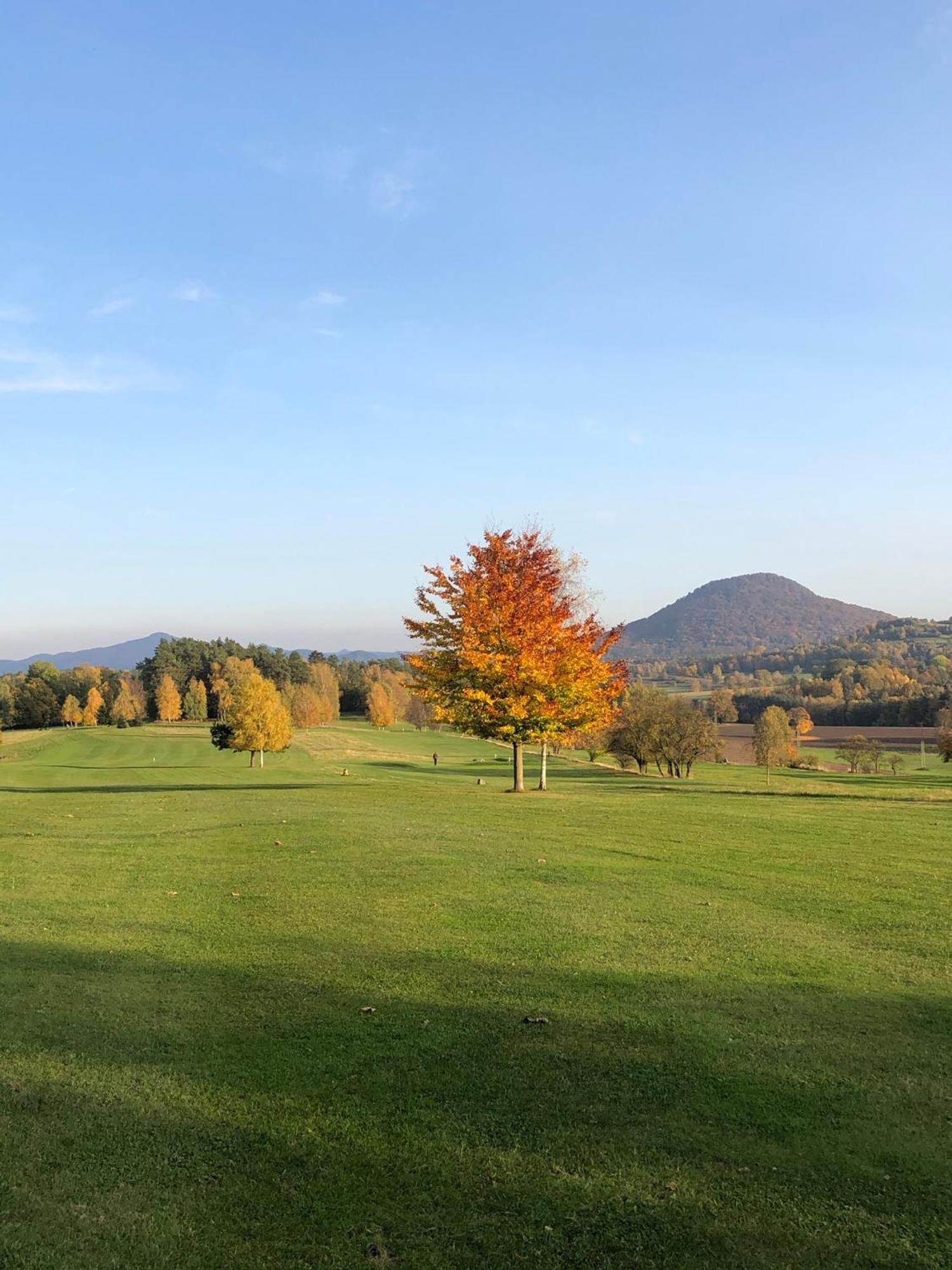 Buseranda - Depandance Hotelu U Zeleneho Stromu Decin Buitenkant foto