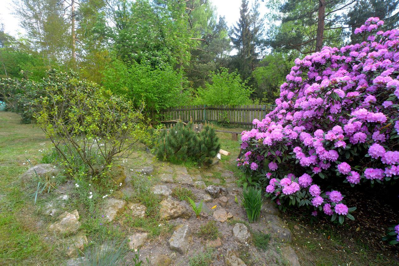 Buseranda - Depandance Hotelu U Zeleneho Stromu Decin Buitenkant foto